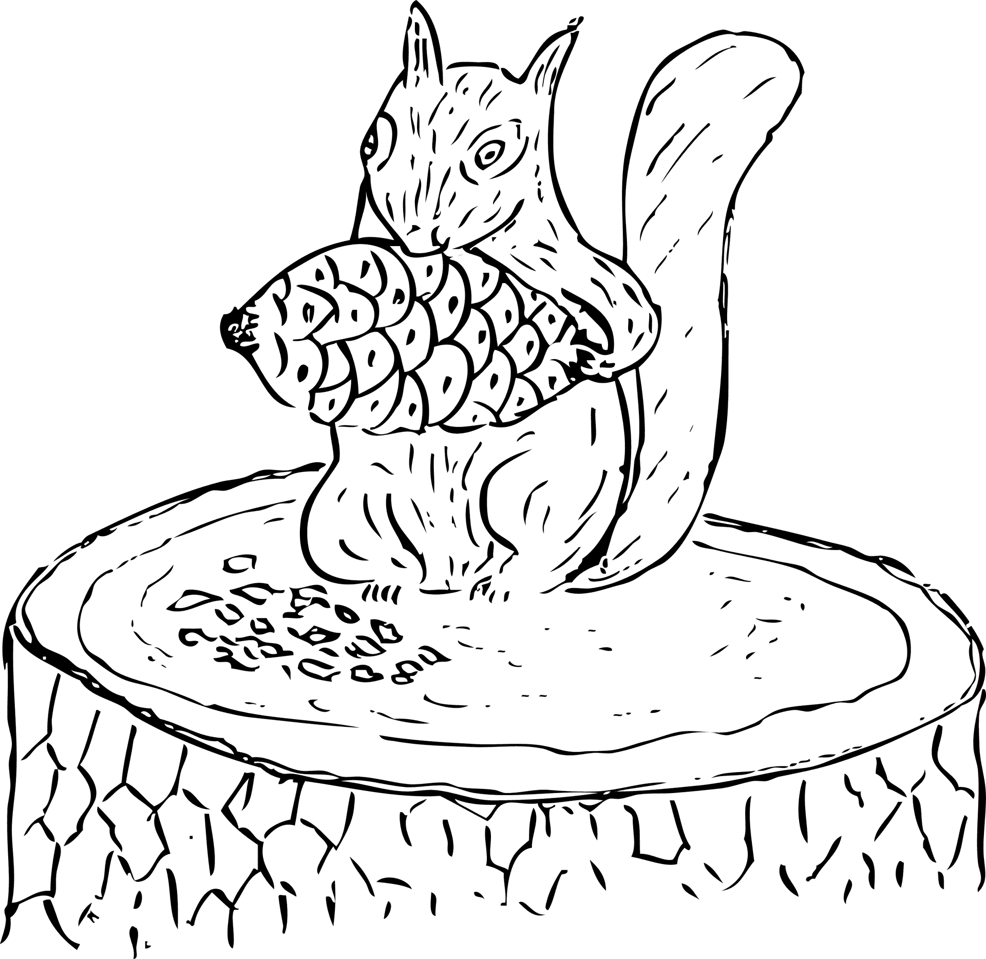 Squirrel Holding Pineconeon Stump PNG