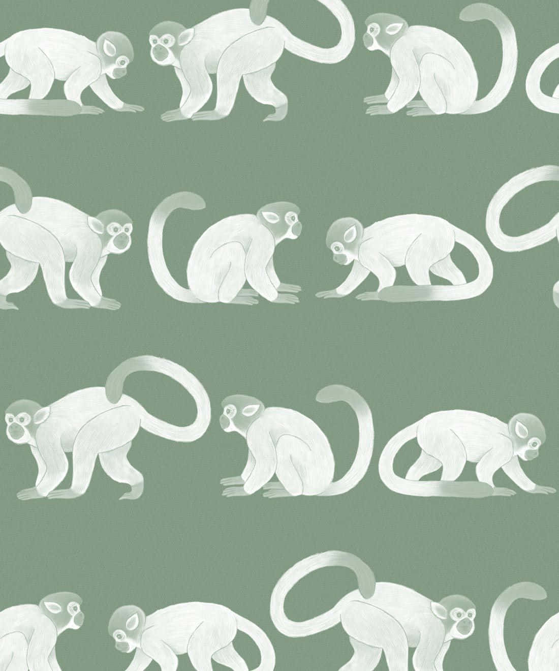 Squirrel_ Monkey_ Pattern Wallpaper