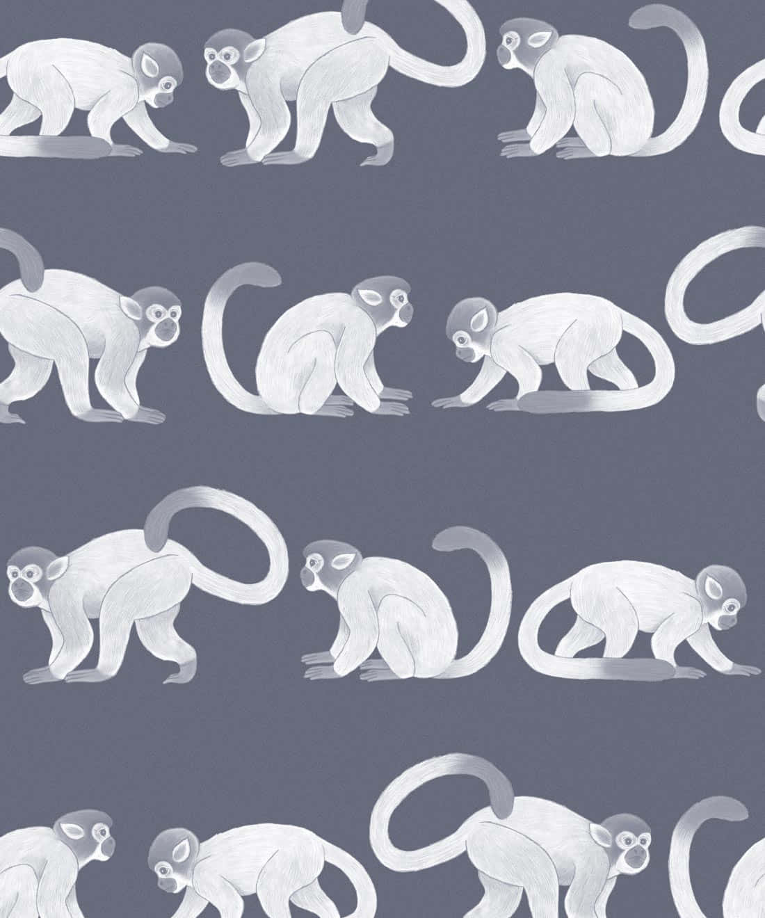 Squirrel_ Monkey_ Pattern_ Grey_ Background.jpg Wallpaper