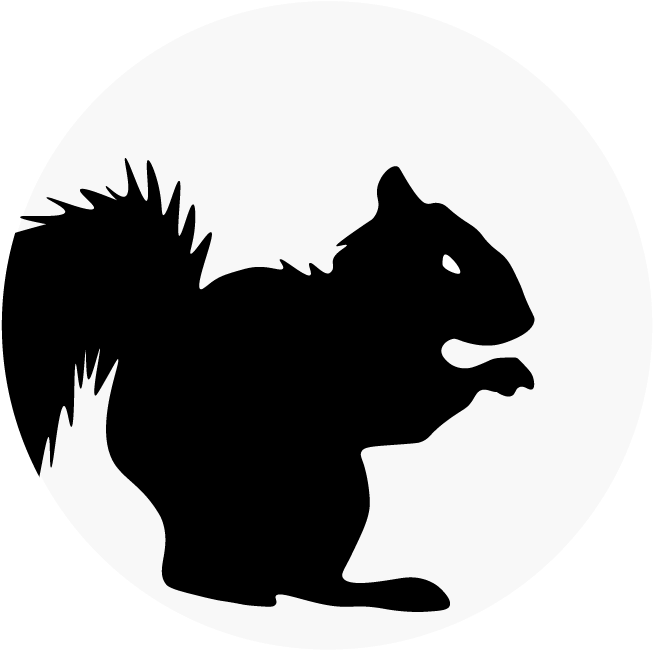 Squirrel Silhouette Graphic PNG