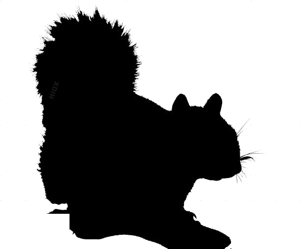 Squirrel Silhouette Profile PNG