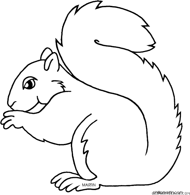 Squirrel_ Line_ Art_ Illustration PNG