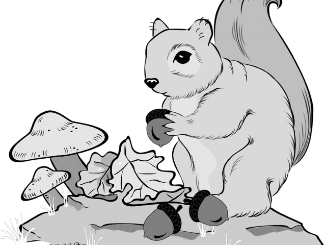 Squirrel_with_ Acorns_and_ Mushrooms PNG