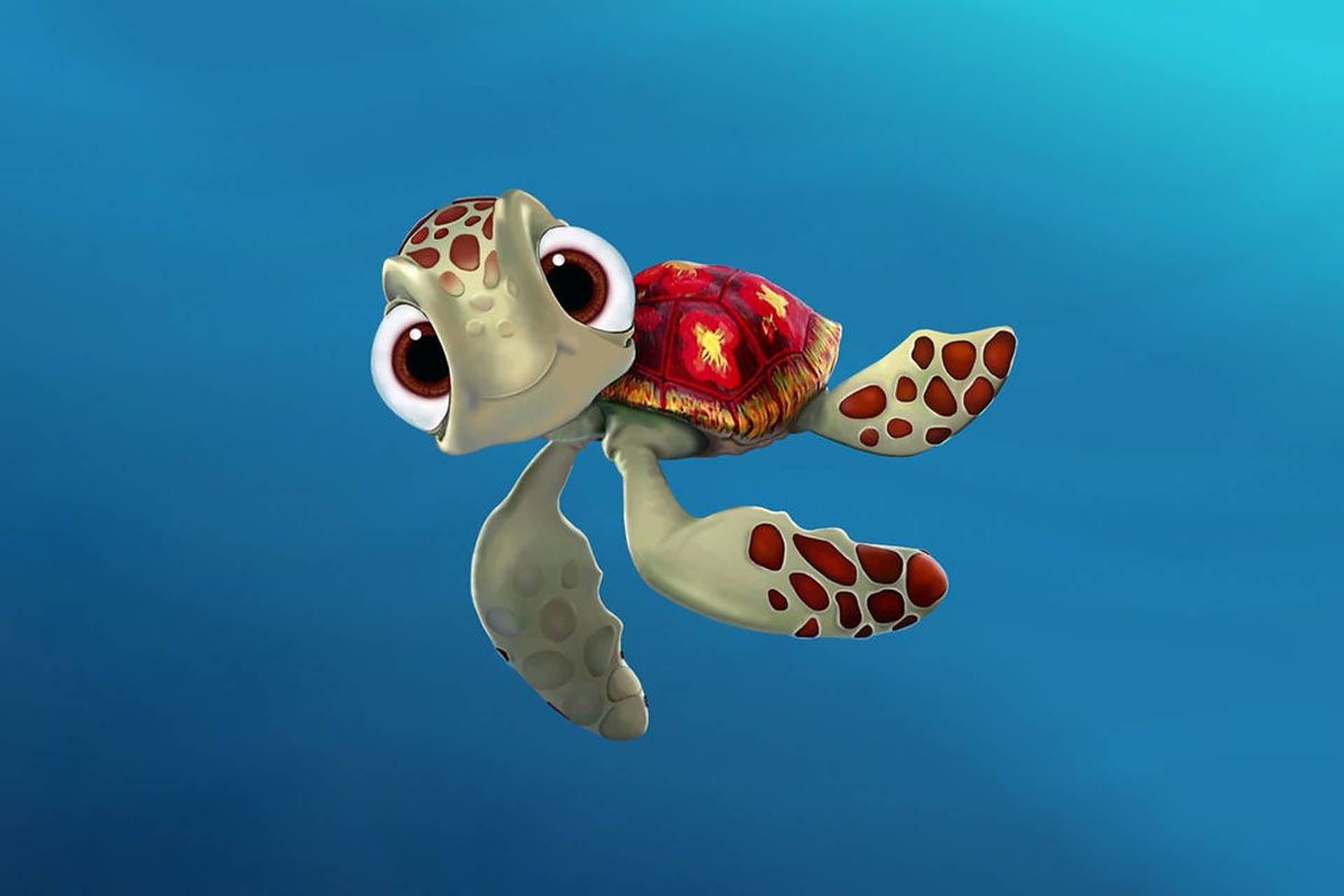 Squirt Baby Turtle Wallpaper