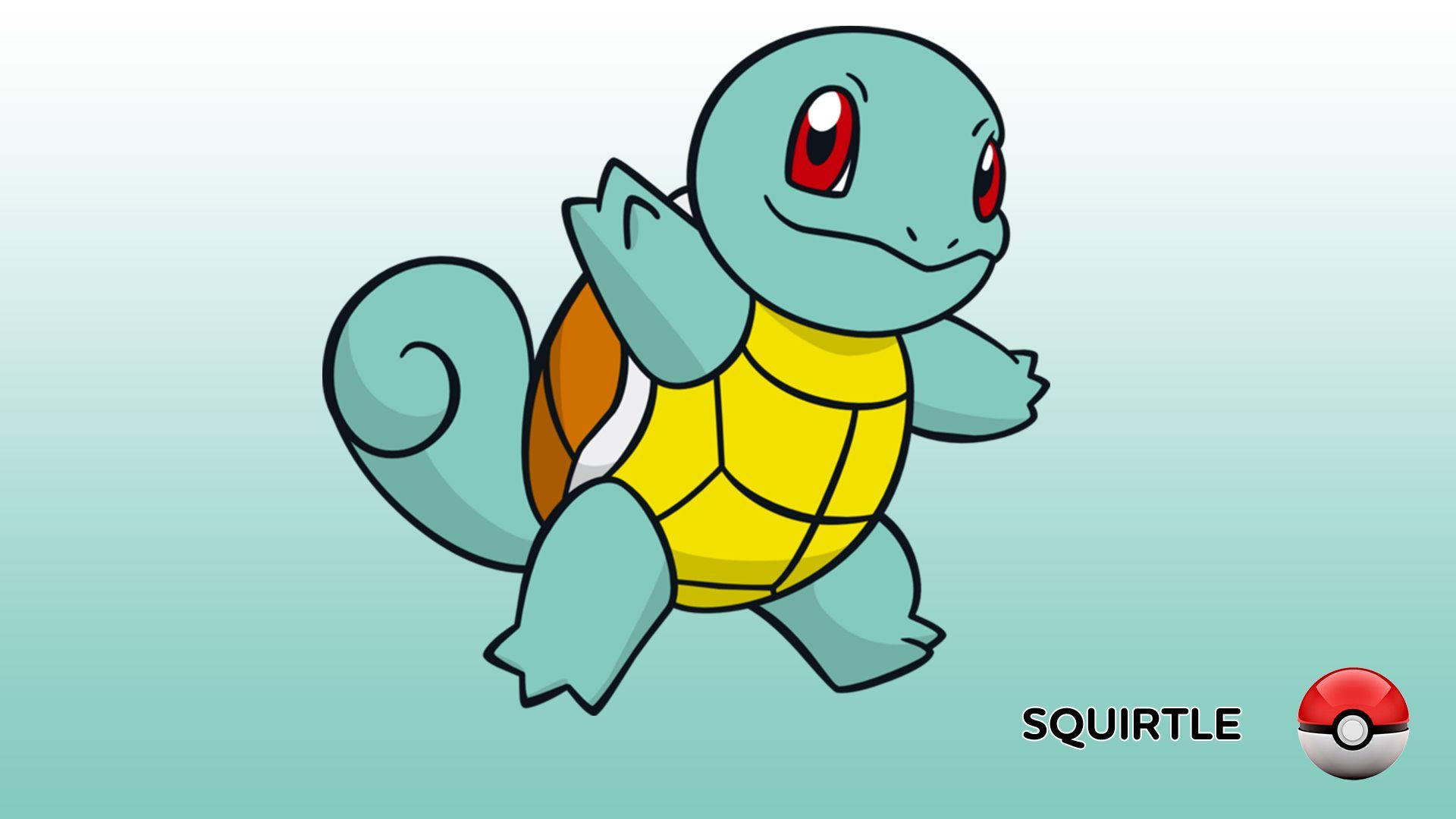 “Adorable Squirtle” Wallpaper
