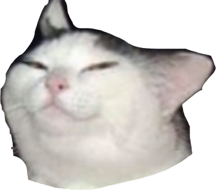 Squished Cat Face Meme.png PNG