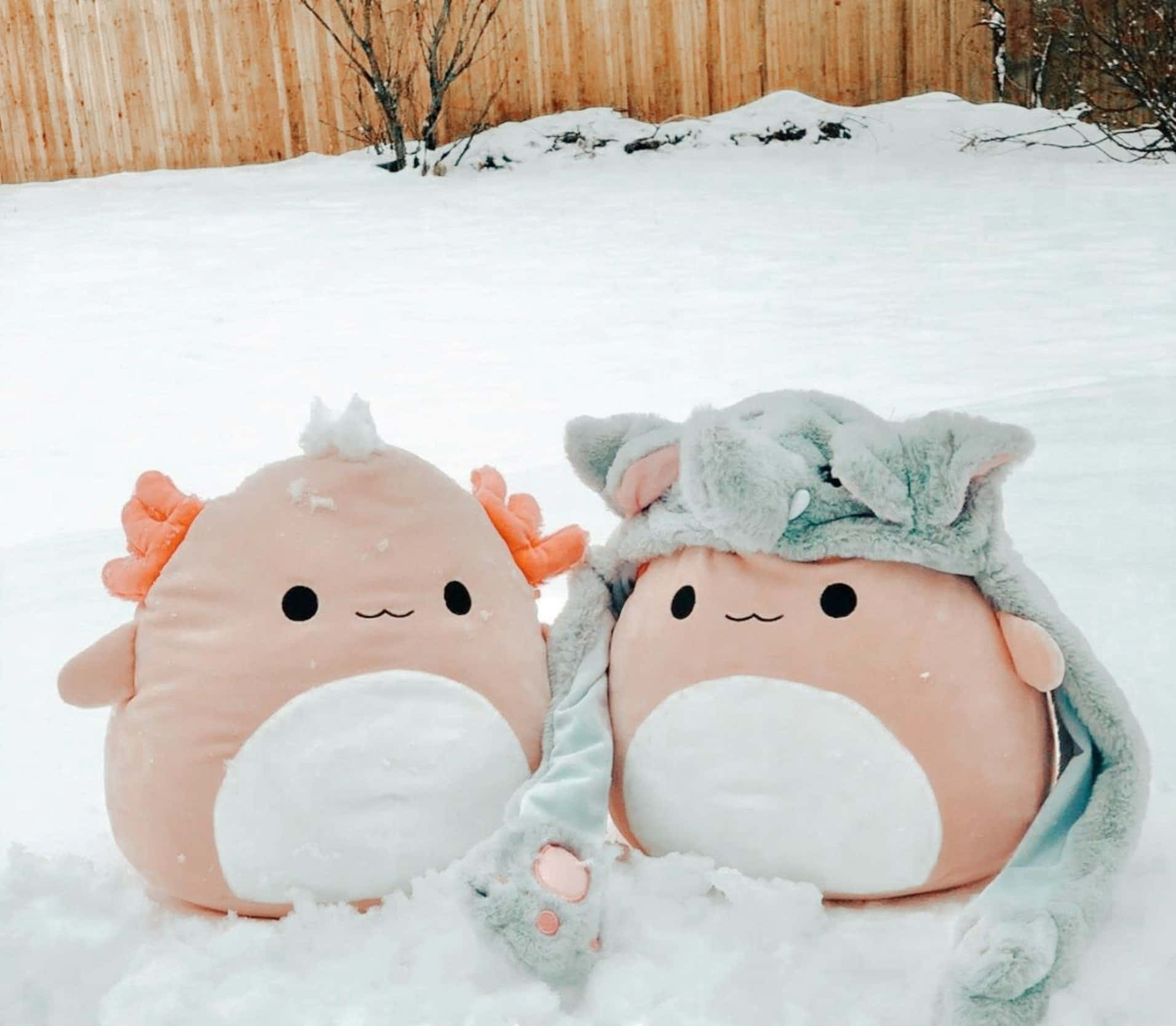 Download Squishmallow Snow Backyard Background | Wallpapers.com