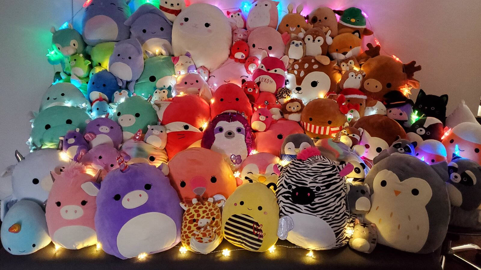 Squishmallows Toy Collection With Light Wallpaper