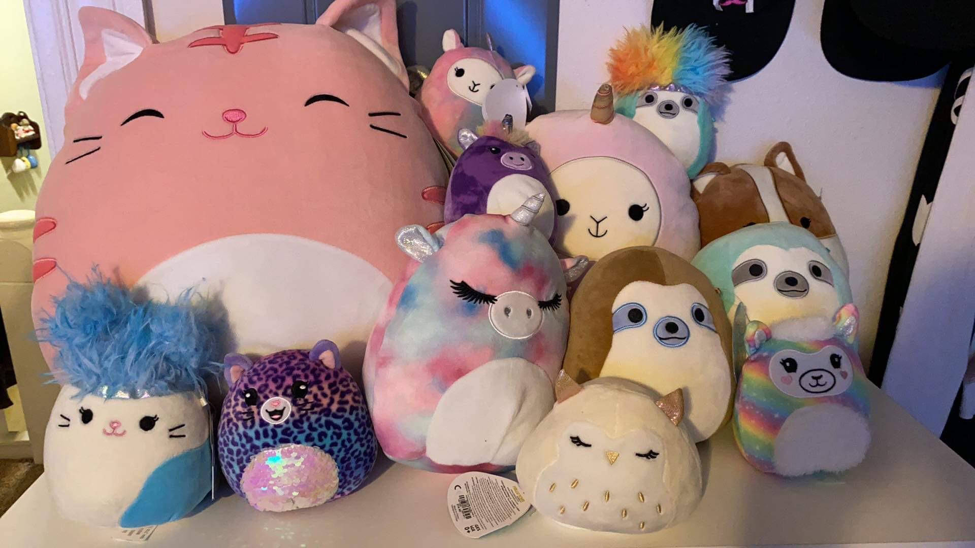Squishmallows Toys Collection On Table Wallpaper