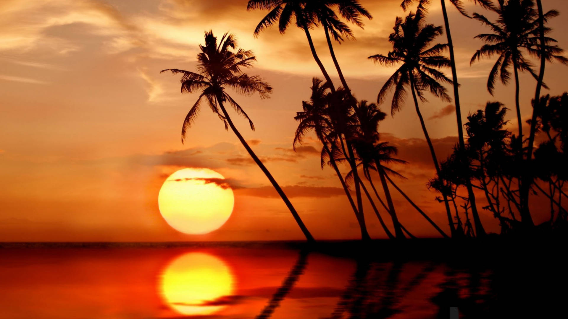 Sri Lanka Beautiful Sunset Wallpaper
