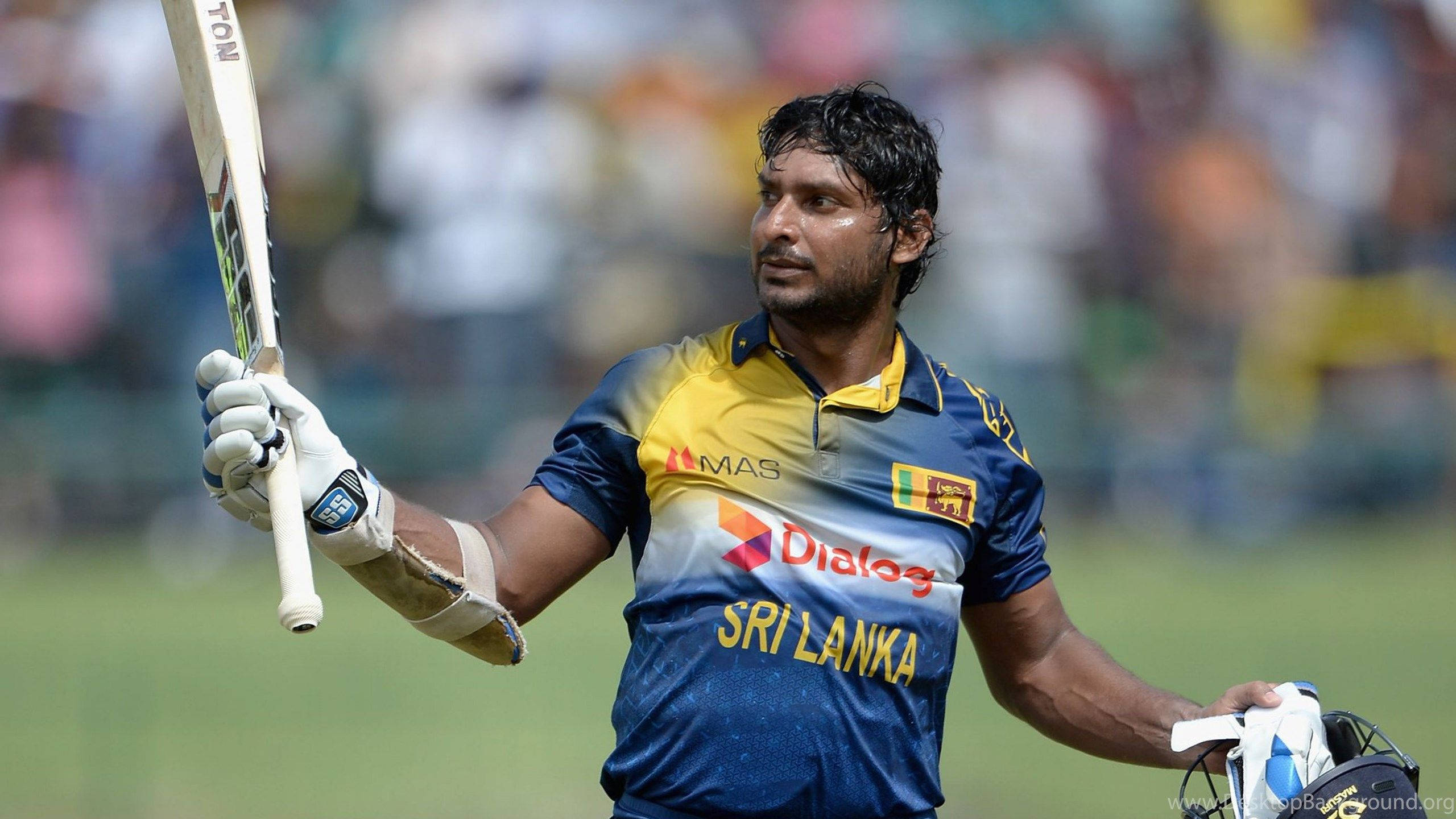 Papelde Parede Do Sri Lanka Cricket Em 4k. Papel de Parede