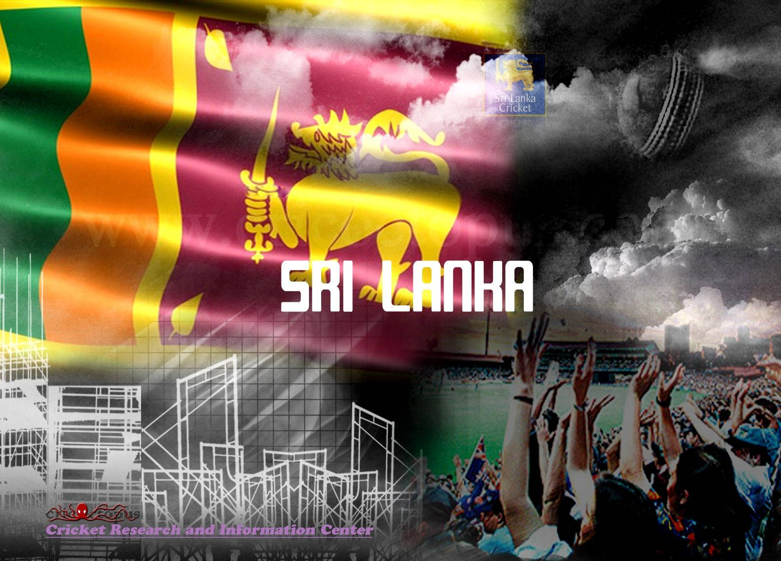 Sri Lanka Cricket Victory Kunstværk Wallpaper