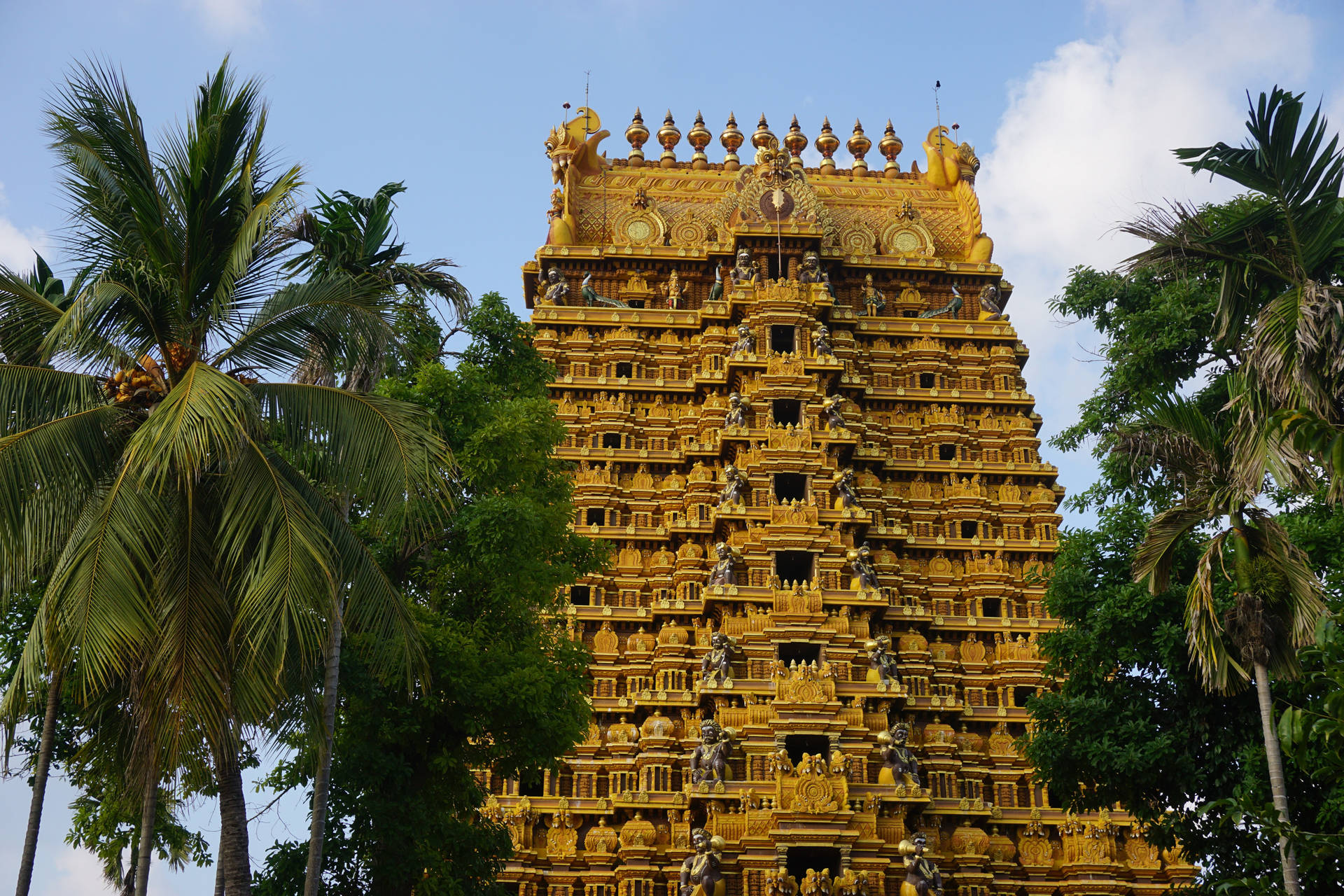 Sri Lanka Jaffna Hindu Temple Background