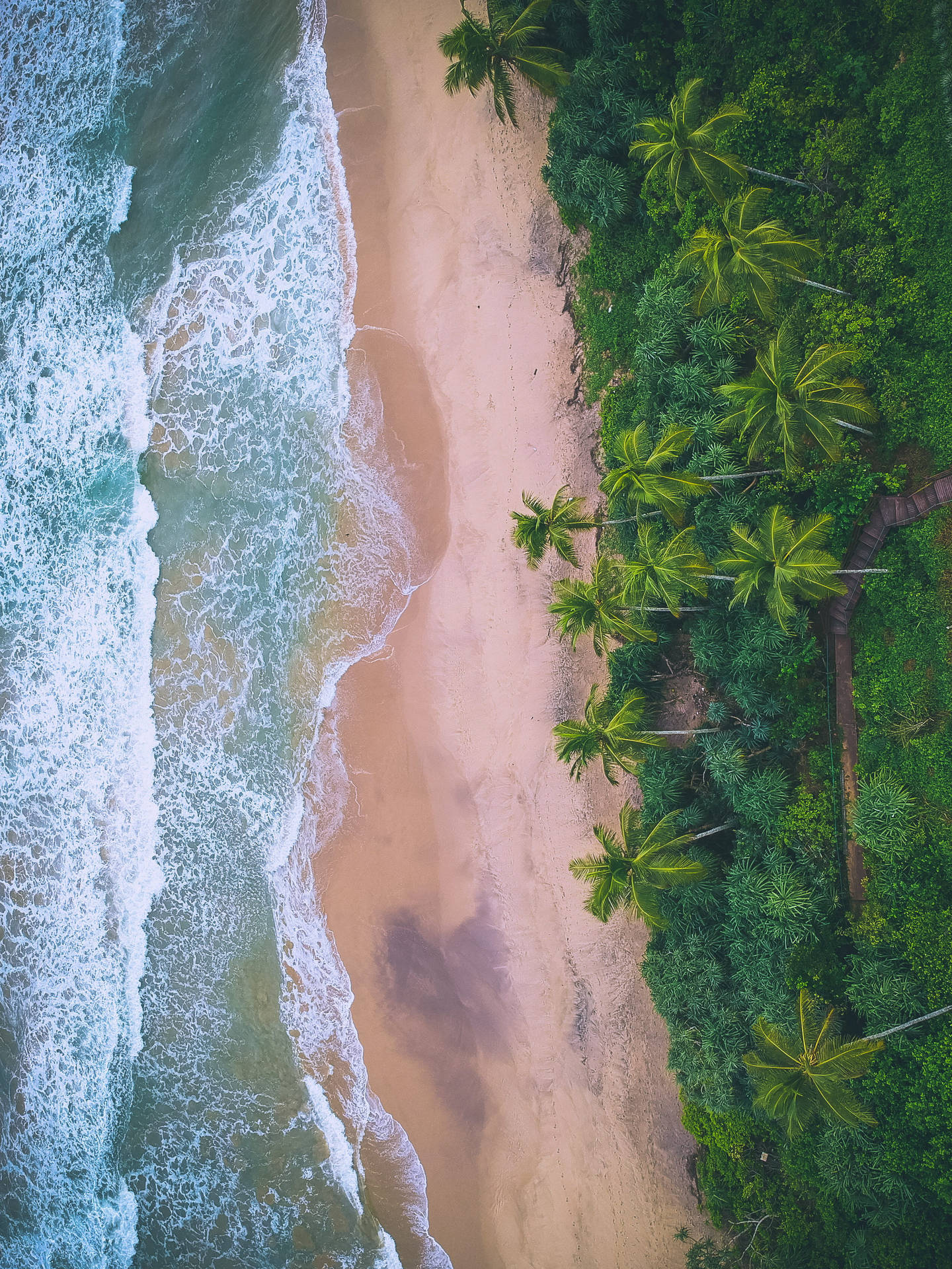 Sri Lanka Maaliyadda Beach Aerial Background
