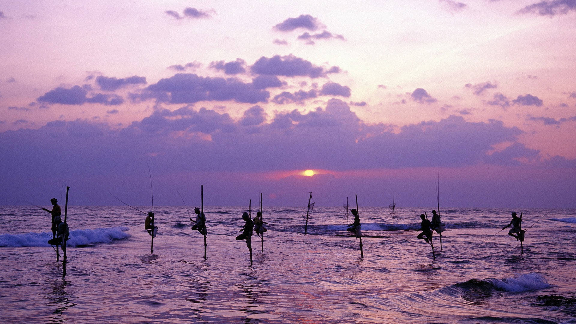 Sri Lanka Stilt Fishing Sunset Background