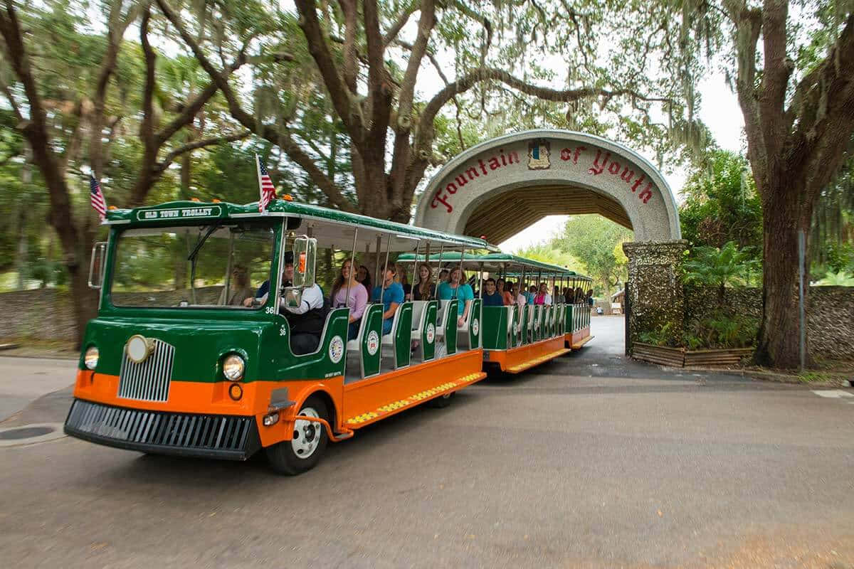 A Green And Orange Trolley Is Driving Through A Tree Lined Street