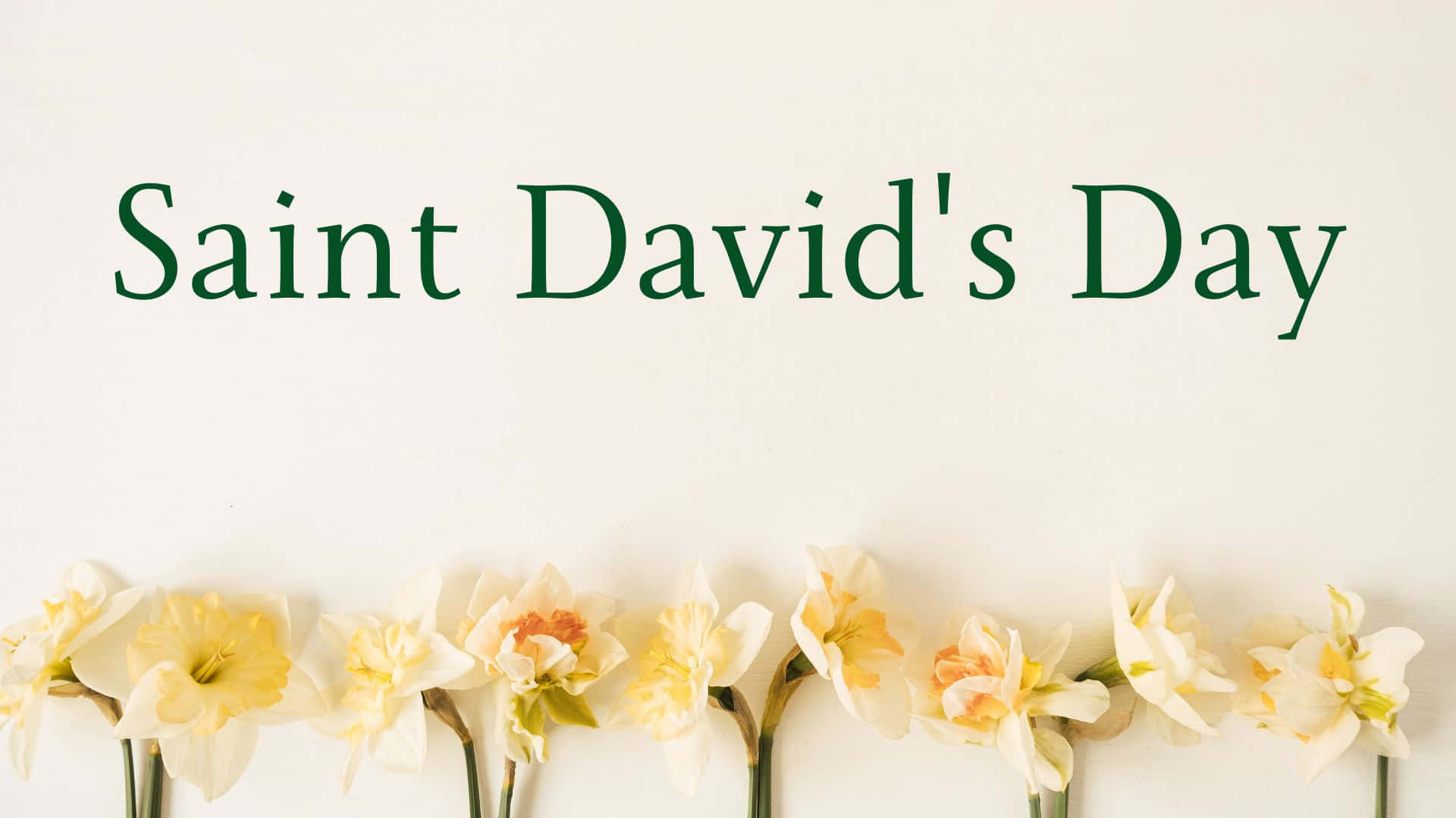 St David's Day Wallpaper