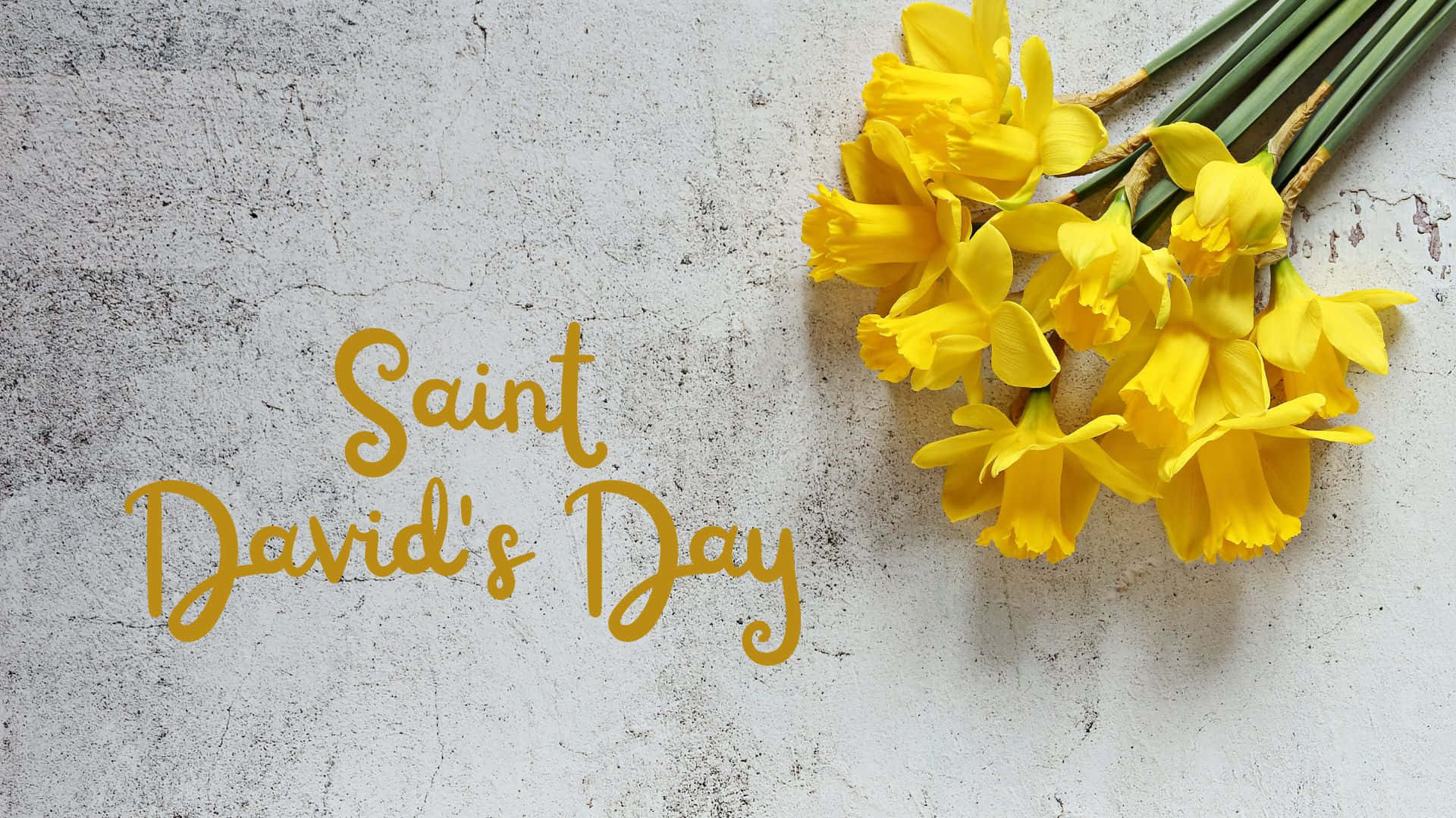 St David's Day Wallpaper