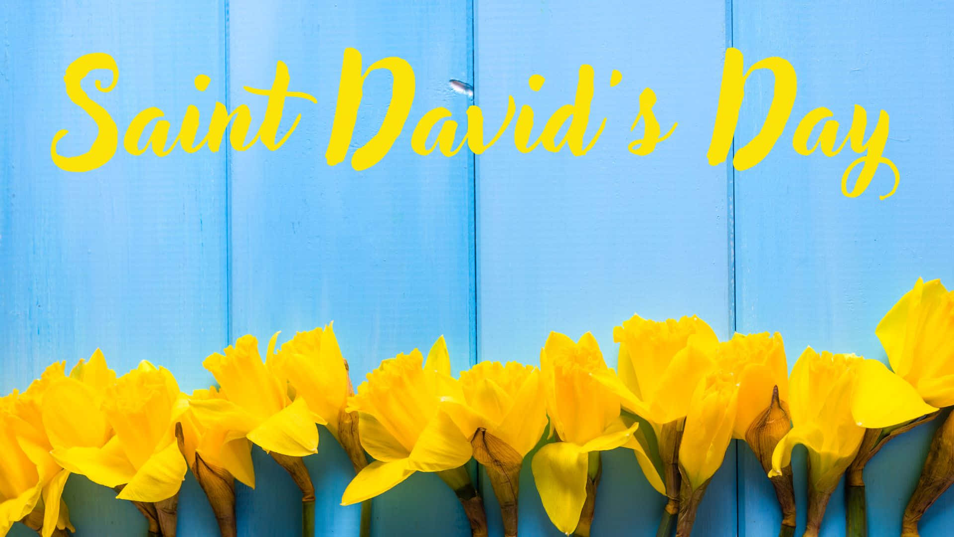 St David's Day Wallpaper