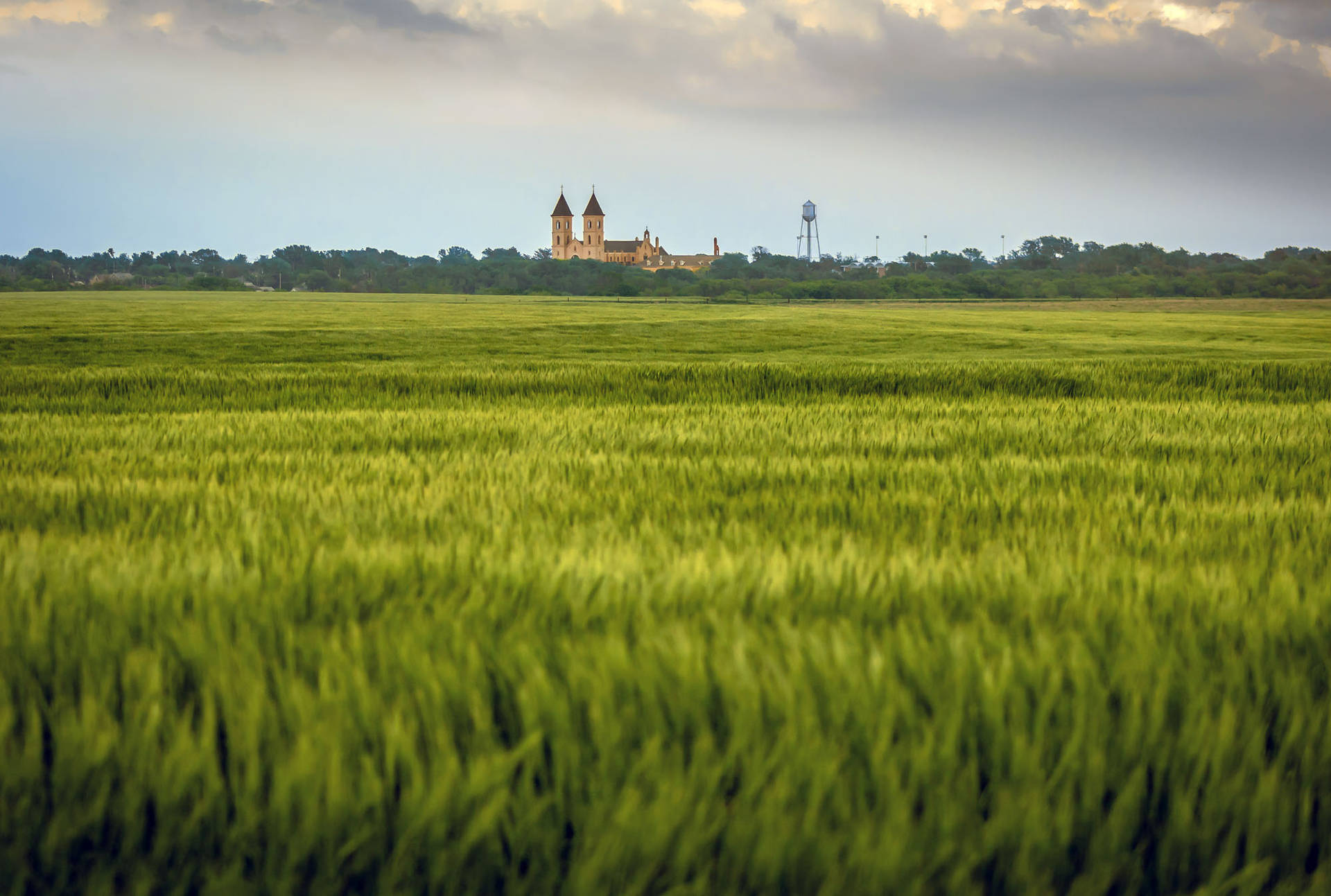 The scenic beauty of St. Fidelis Basilica surrounded by golden fields in Kansas Wallpaper