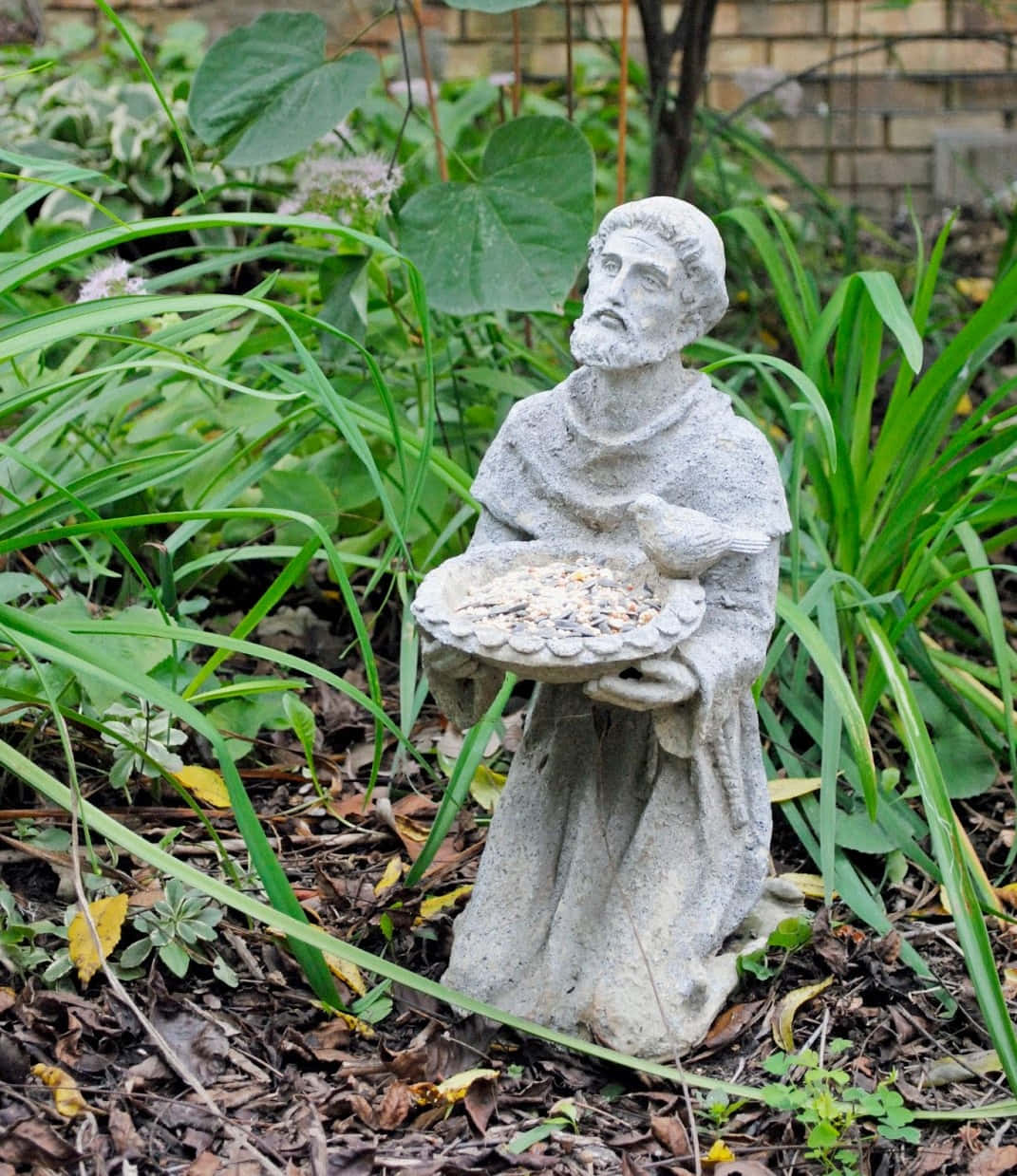 Statue De Saint François Avec Un Mangeoire À Oiseaux Fond d'écran