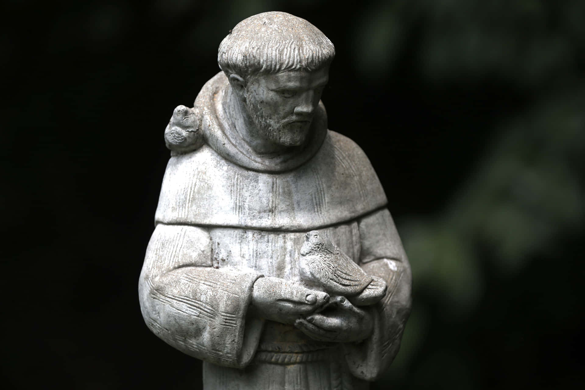 Statue De Saint François Avec Un Oiseau Fond d'écran