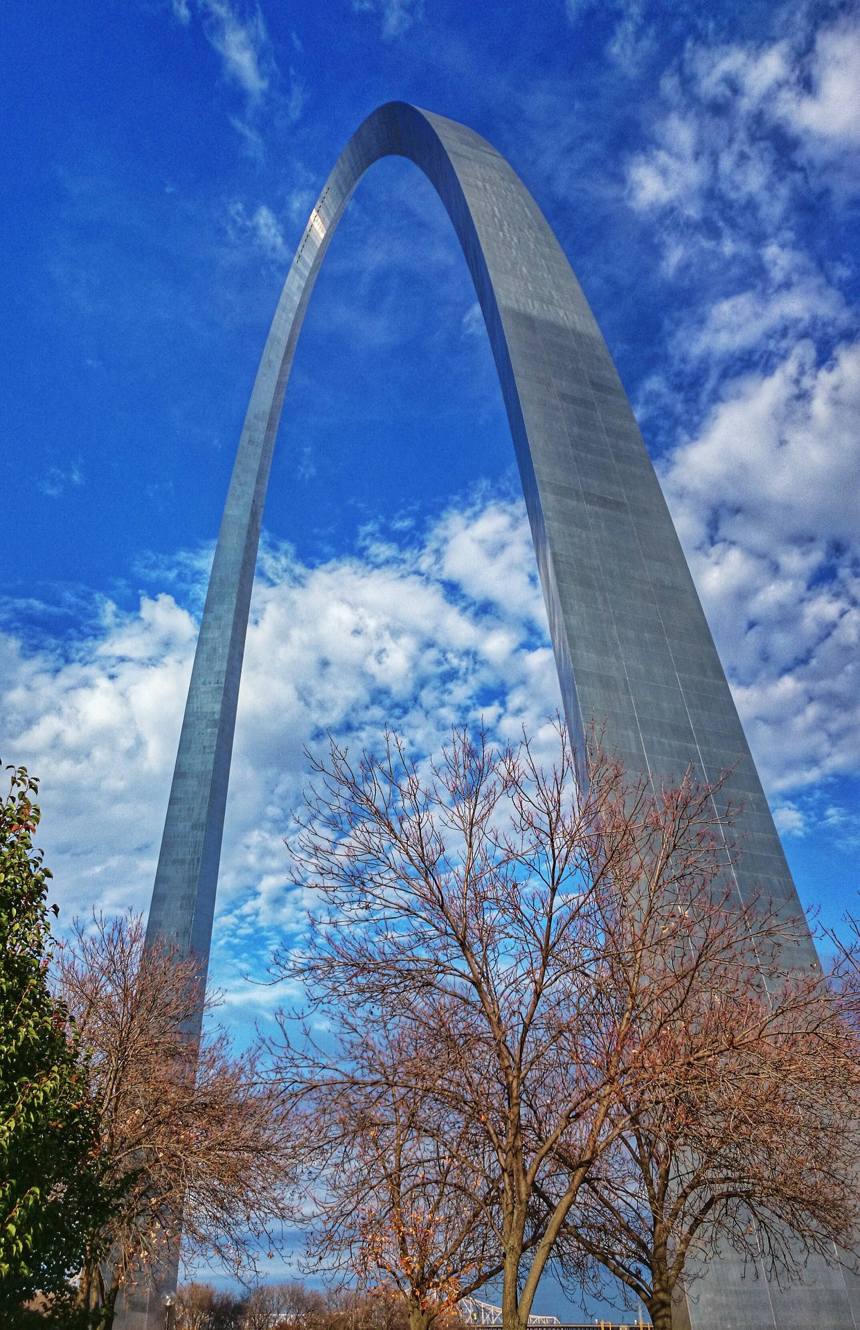 St. Louis Arch Trees Wallpaper