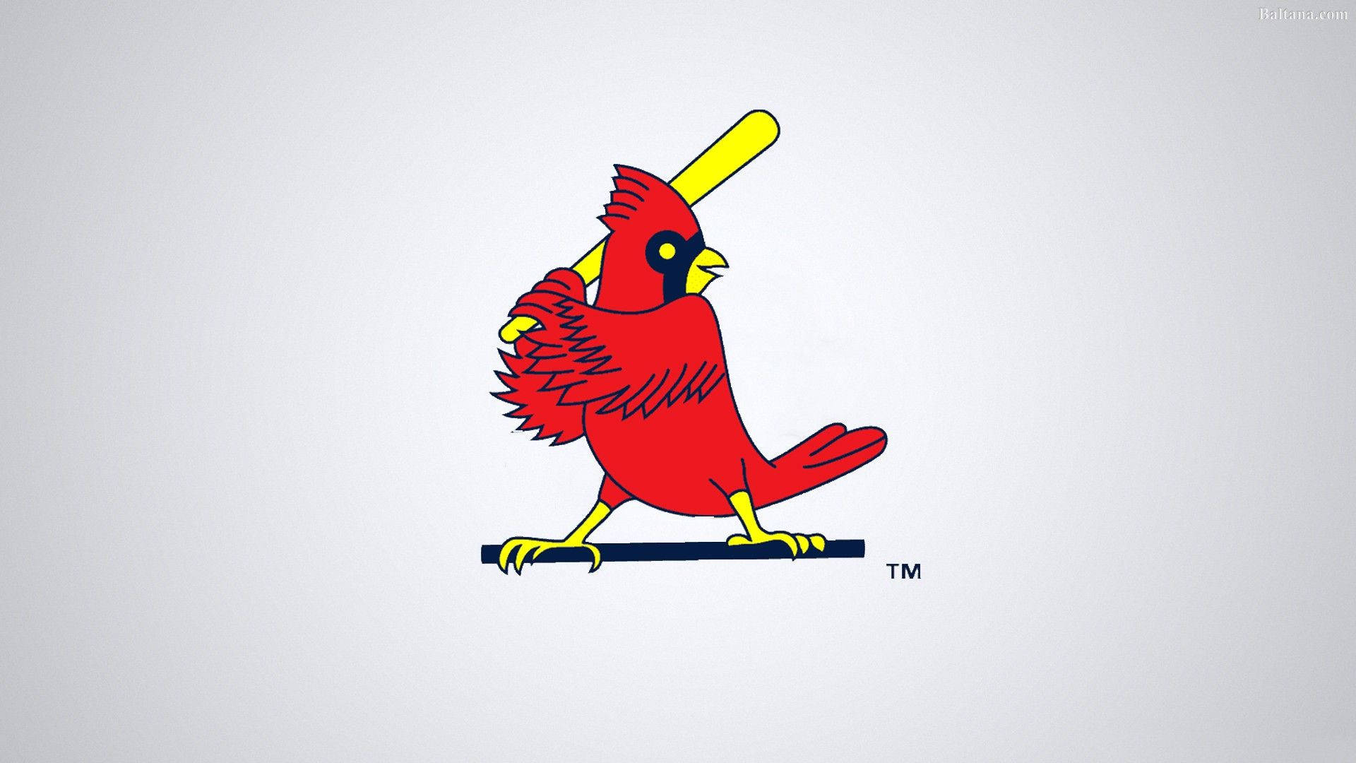 St. Louis Cardinals fugl med baseball bat Wallpaper