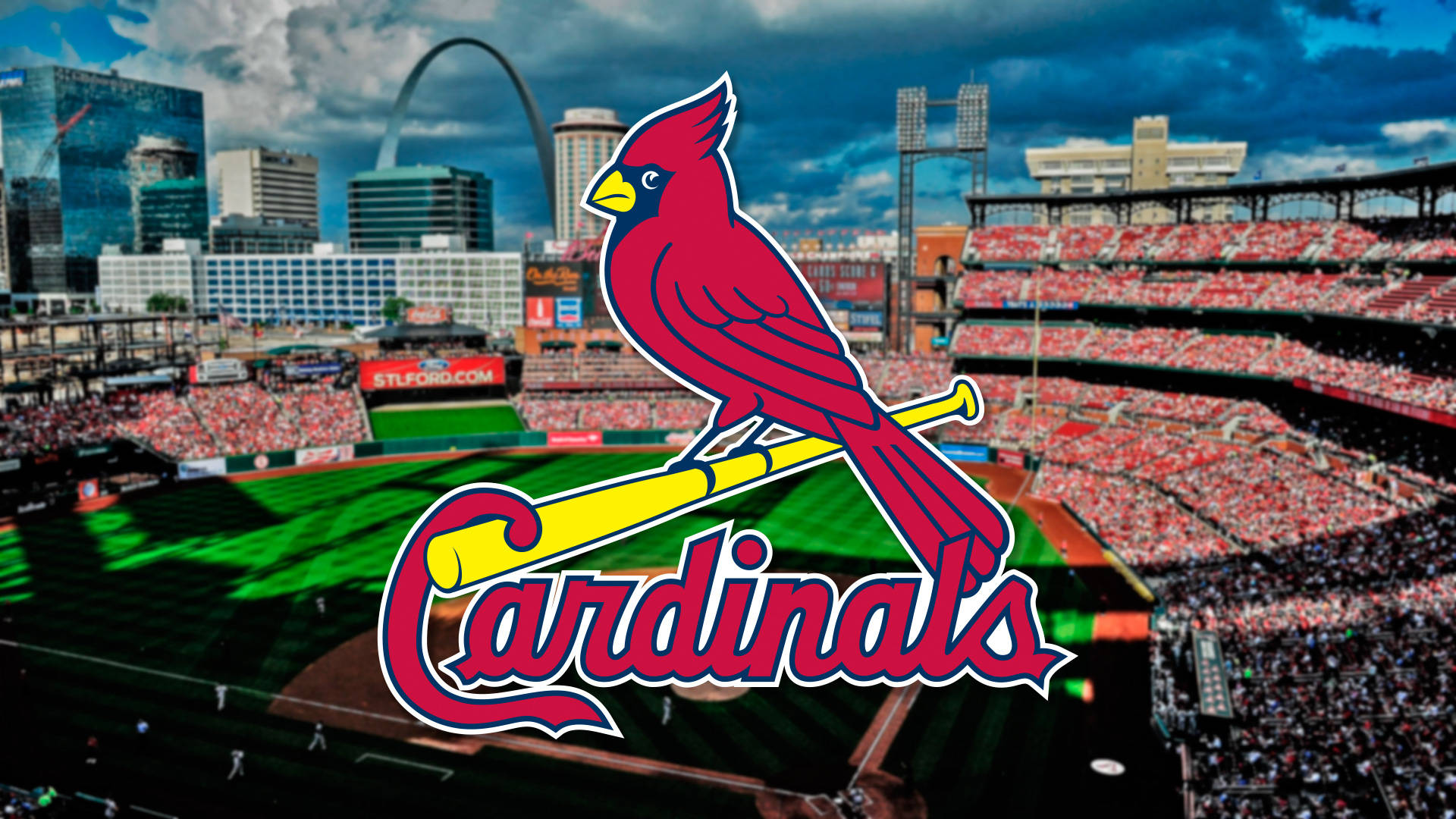 St Louis Cardinals Red Bird On Field Wallpaper