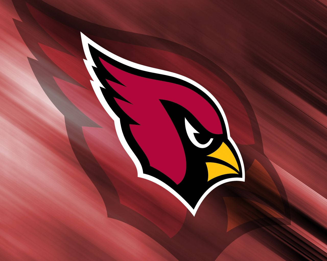 St Louis Cardinals Red Bird Shadow Wallpaper