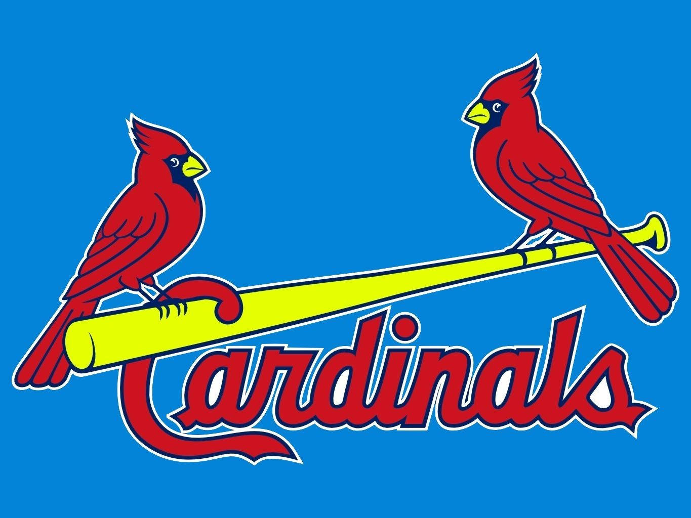 St Louis Cardinals Two Red Birds Wallpaper