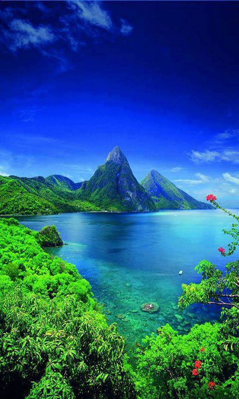 St. Lucia Lush Green View Background