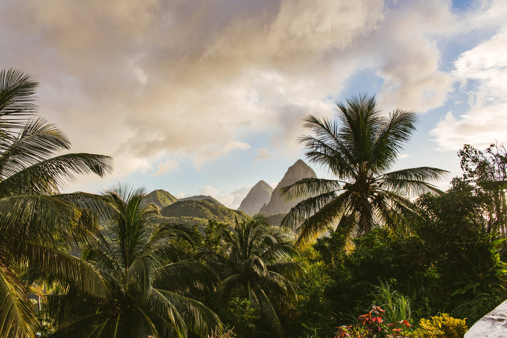 St Lucia Peaks And Palm Trees Wallpaper