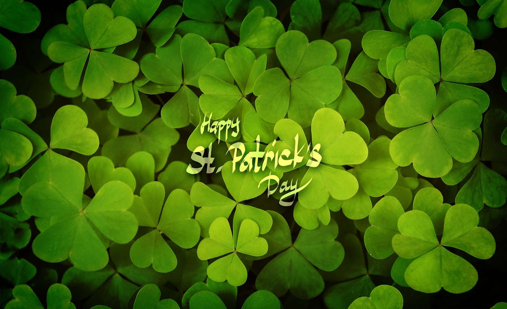 Shamrock Leaves St. Patrick's Day Background