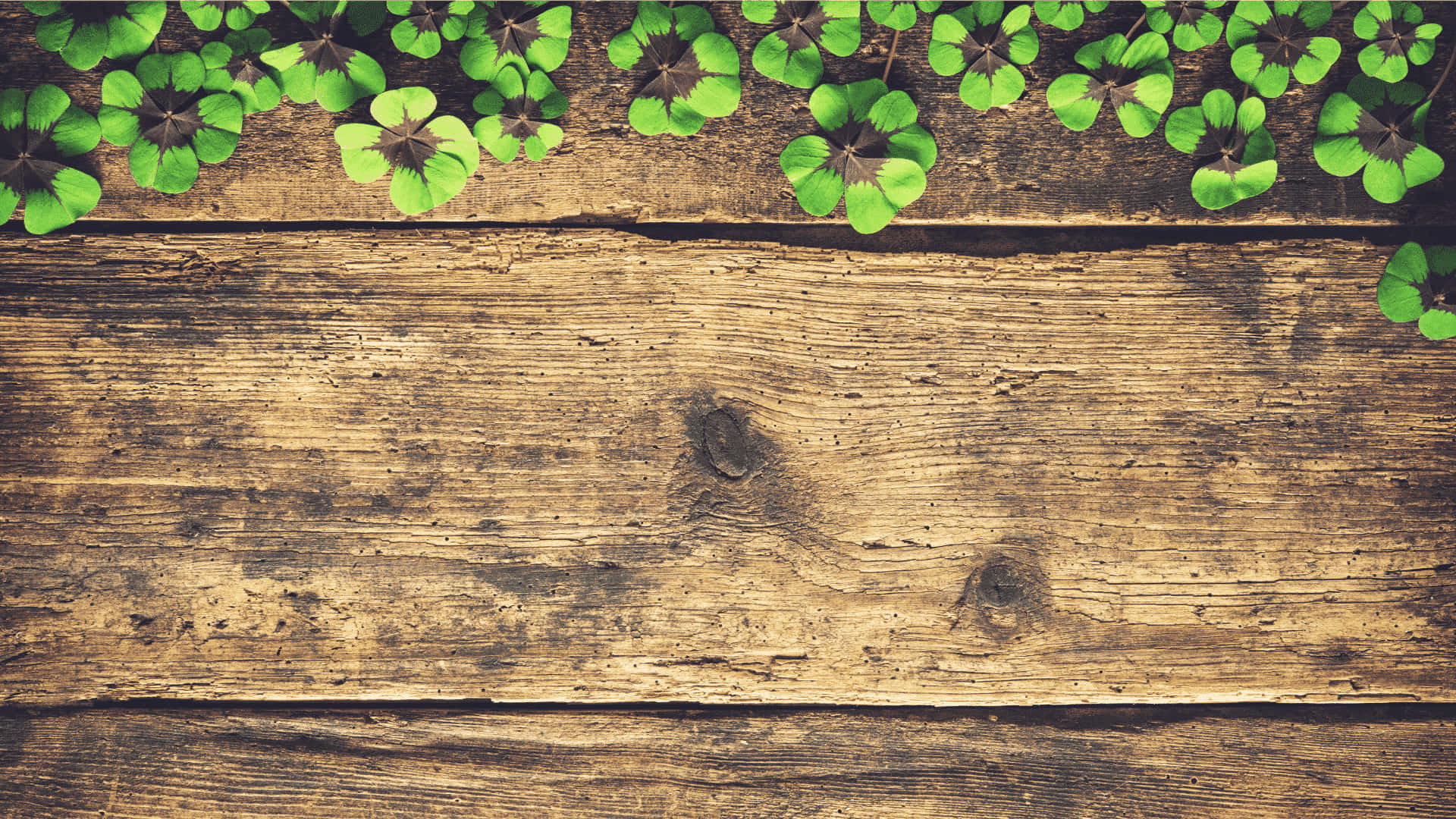 A Wooden Background With Green Leaves