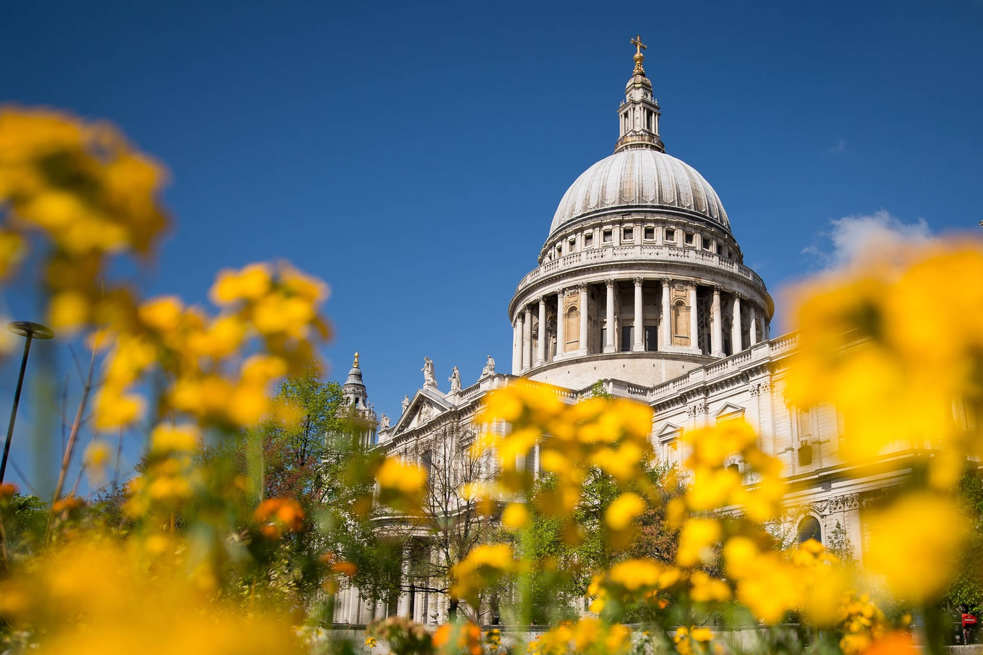 St Paul Cathedral Yellow Flowers Wallpaper