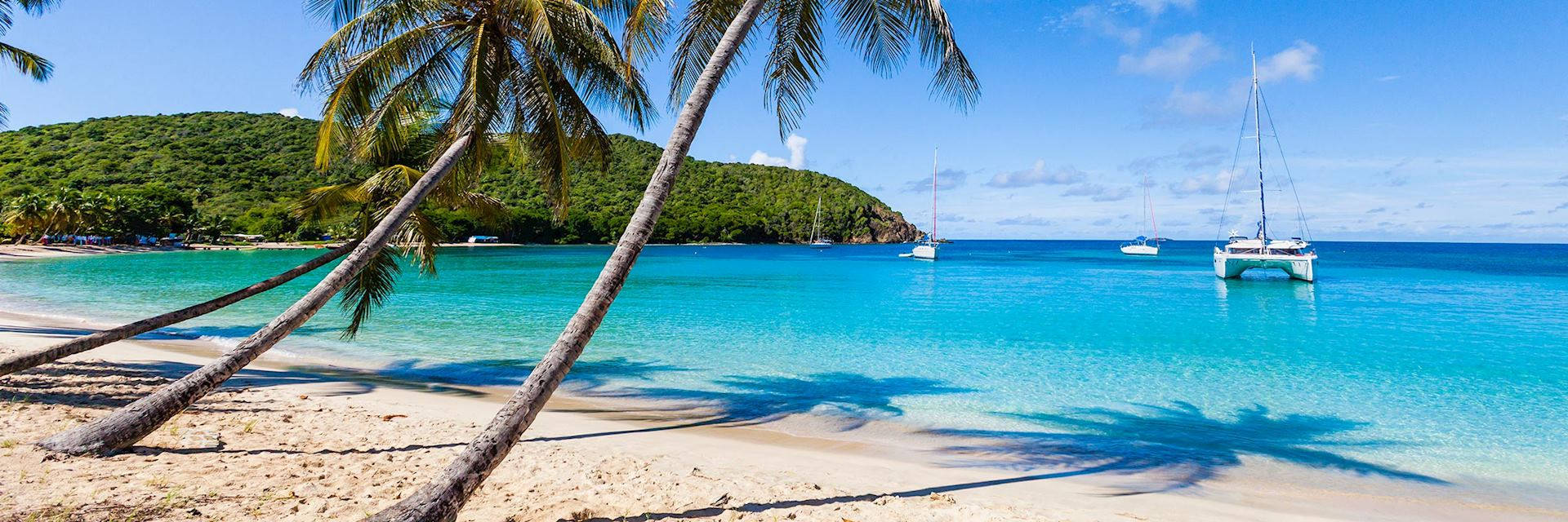 St Vincent And The Grenadines Leaning Coconut Trees Wallpaper