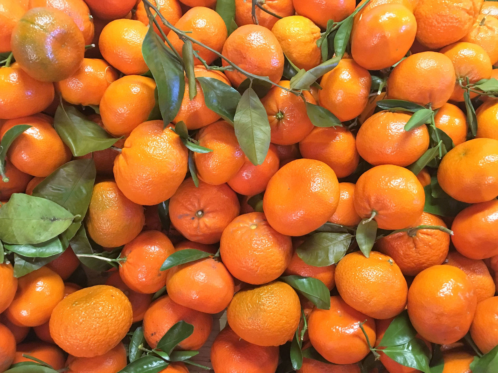 Pilhade Frutas Clementinas Vista De Cima. Papel de Parede