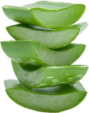 Stacked Aloe Vera Slices.png PNG