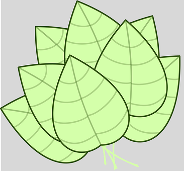 Stacked Green Leaves Illustration PNG