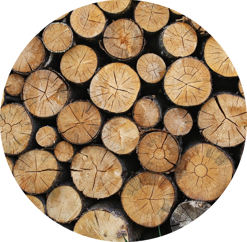 Stacked Logs Cross Section Texture PNG