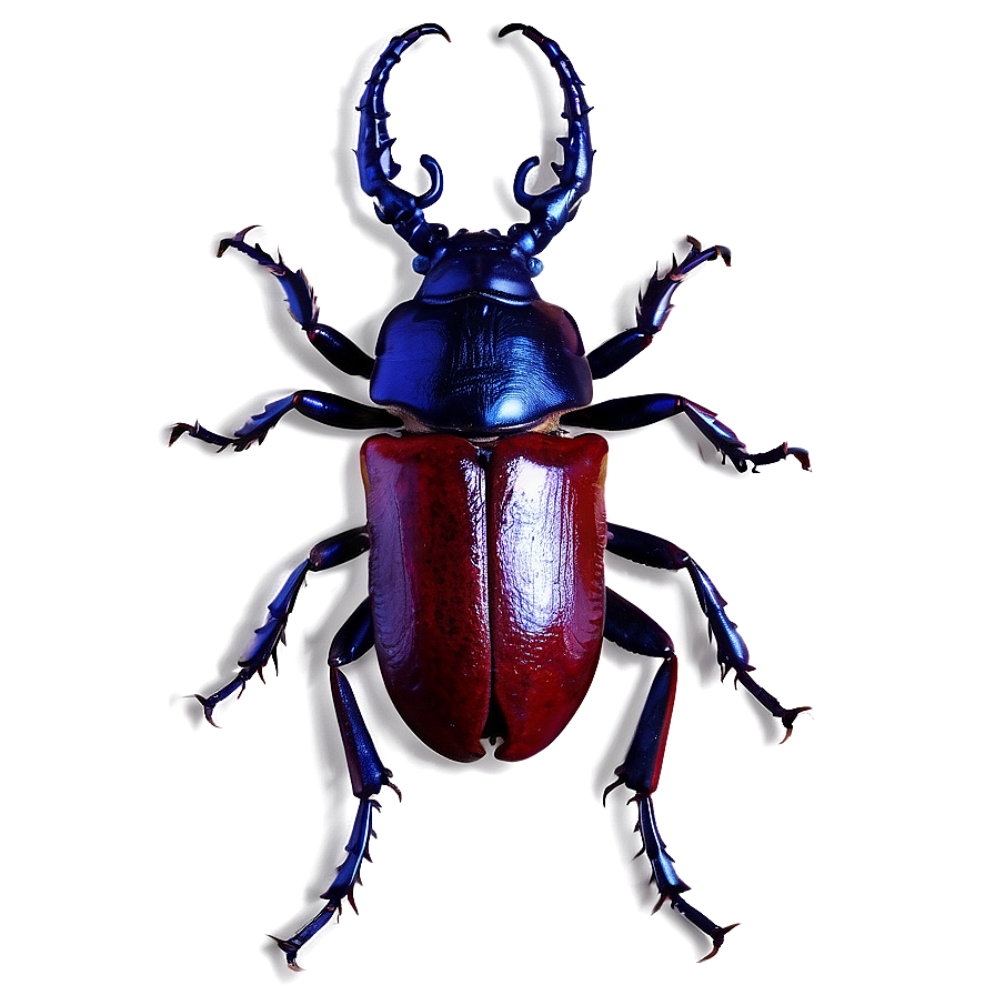 Stag Beetle Image Png Hpp PNG