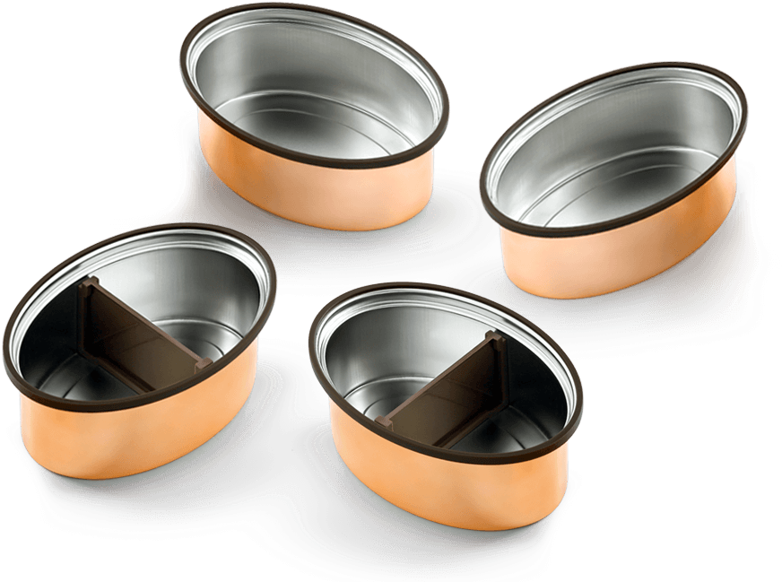 Stainless Steel Tiffin Box Compartments PNG