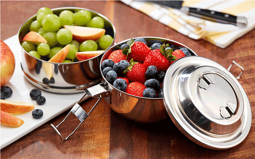 Stainless Steel Tiffin Boxwith Fruits PNG