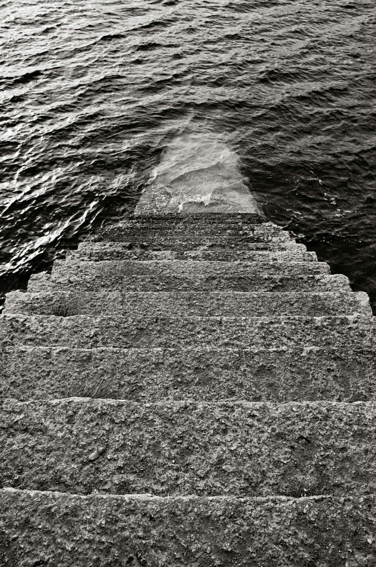 Stairwayto Sea Blackand White Wallpaper