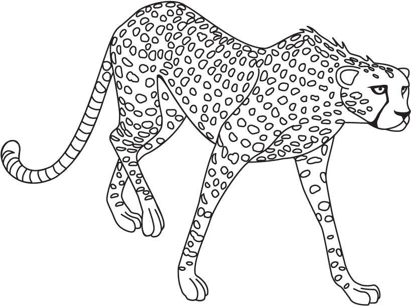 Download Stalking Jaguar Line Art | Wallpapers.com