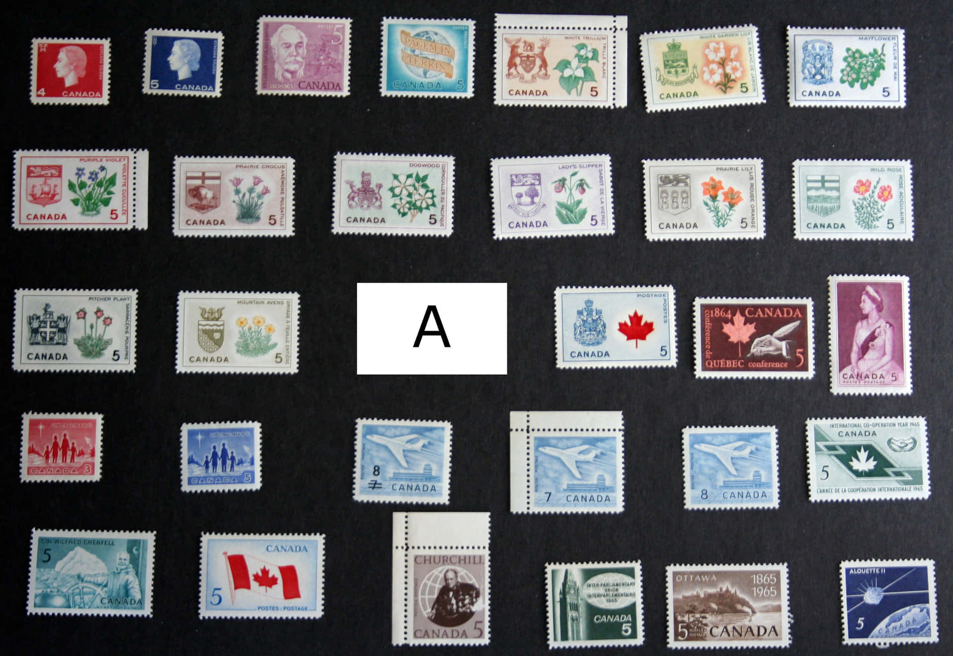 Show off your love for stamps