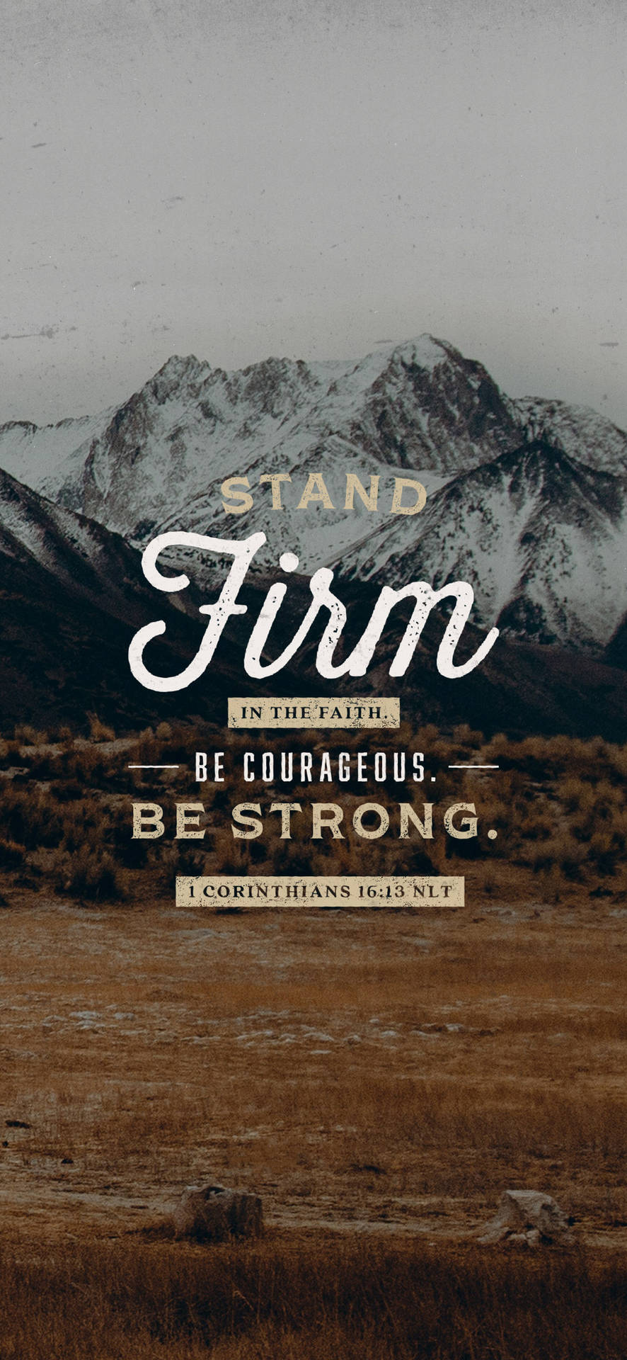 Stand Firm Bible Quote Wallpaper