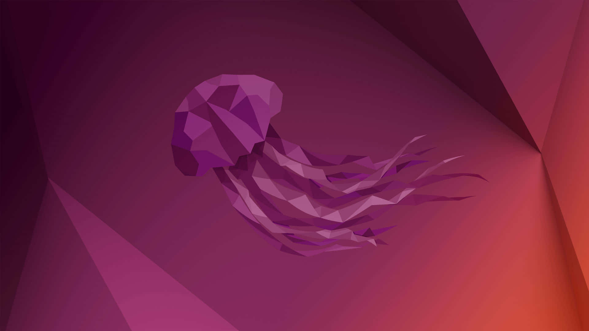 Standard Jellyfish Vector Art Wallpaper