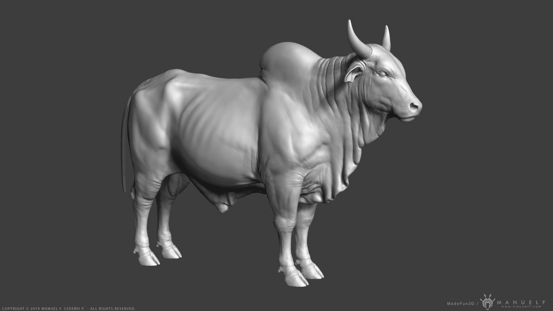 Standing 3D Zebu Cattle Wallpaper